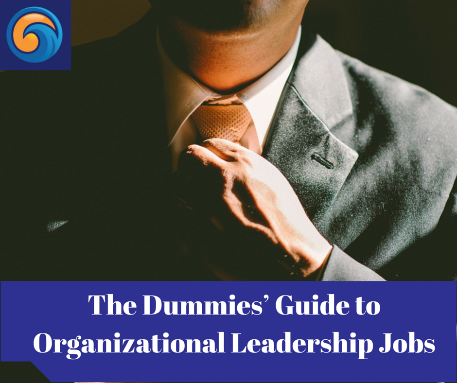 The Dummies’ Guide to Organizational Leadership Jobs